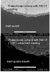 esem_pt-microelectrode